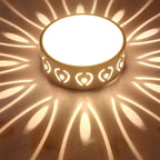 Lámpara de Techo Sofisticada